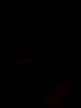 websterribeiro online show from March 11, 3:45 am