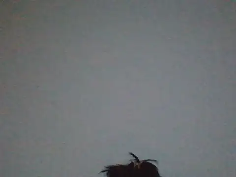 FallenDevil online show from May 31, 7:48 pm