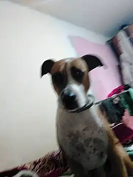 JoLeNe27 online show from October 6, 4:54 am