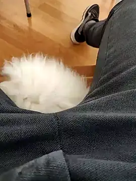 Snapshot of papiculo86 chatting on February 2, 9:08 am papiculo86 online show from February 2, 9:08 am