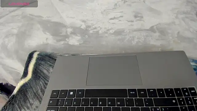 Snapshot of Dephne__ chatting on December 4, 2:10 am Dephne online show from December 4, 2:10 am