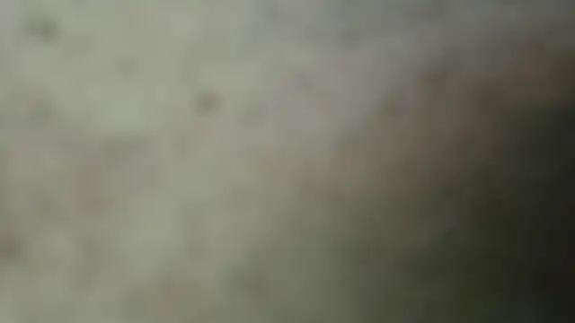 netuhubby online show from January 24, 8:43 pm