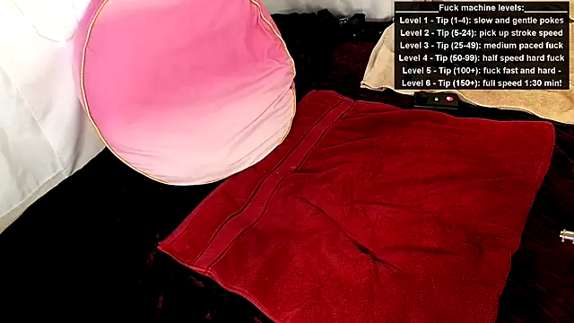 GamerGirlRoxyAndLee online show from June 15, 8:22 pm