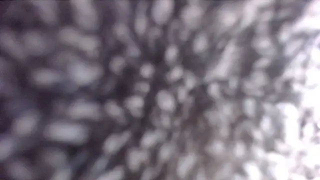 ADRIANNA FOX online show from February 21, 1:00 pm