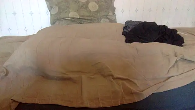 Snapshot of hamstergrabben chatting on February 24, 11:54 am hamstergrabben online show from February 24, 11:54 am