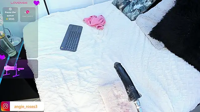 Snapshot of angiee_roses chatting on December 17, 2:44 am angiee roses online show from December 17, 2:44 am
