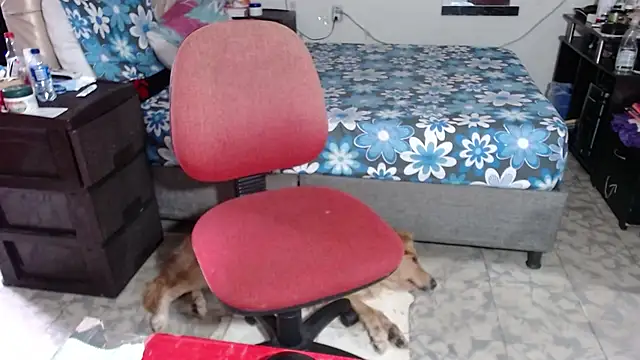 Snapshot of Barbiegomez chatting on November 26, 9:27 pm Barbiegomez online show from November 26, 9:27 pm