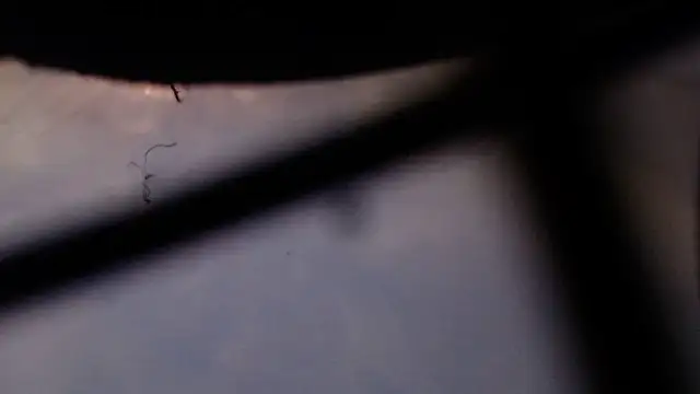 Cordt27 online show from February 12, 4:02 pm