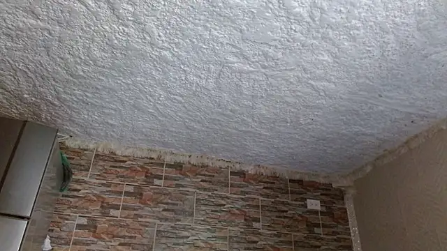 omar alurba online show from February 17, 6:25 pm