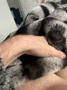 Snapshot of Furdale chatting on December 2, 12:40 pm Furdale online show from December 2, 12:40 pm