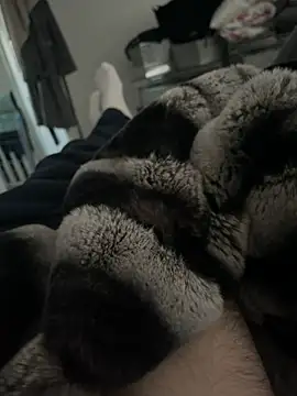 Snapshot of Furdale chatting on December 18, 3:00 pm Furdale online show from December 18, 3:00 pm