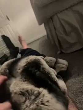 Snapshot of Furdale chatting on January 6, 4:55 pm Furdale online show from January 6, 4:55 pm