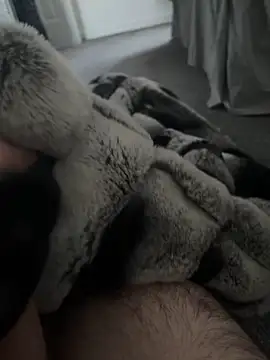 Snapshot of Furdale chatting on January 7, 10:43 am Furdale online show from January 7, 10:43 am