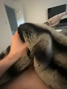 Snapshot of Furdale chatting on February 8, 9:46 am Furdale online show from February 8, 9:46 am