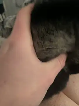 Snapshot of Furdale chatting on February 24, 1:21 pm Furdale online show from February 24, 1:21 pm