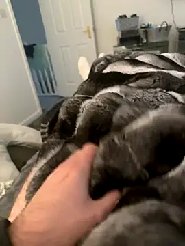 Snapshot of Furdale chatting on September 10, 4:29 pm Furdale online show from September 10, 4:29 pm