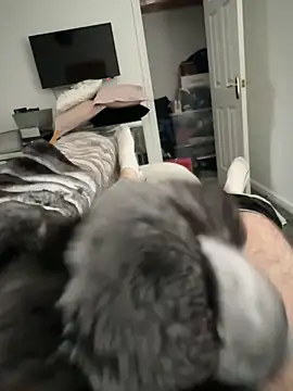 Snapshot of Furdale chatting on October 17, 1:57 pm Furdale online show from October 17, 1:57 pm