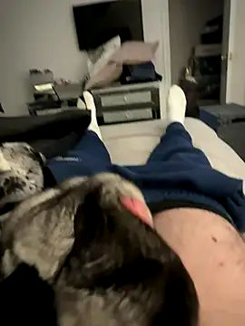 Furdale online show from December 5, 2:25 pm