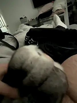 Furdale online show from December 16, 3:06 pm