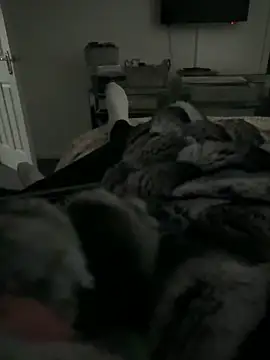 Furdale online show from February 11, 3:39 pm