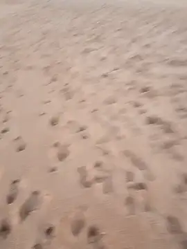 rodovlaz online show from September 17, 10:44 pm