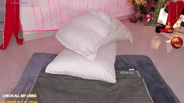 Snapshot of ohyesly_ chatting on December 19, 10:11 am ohyesly online show from December 19, 10:11 am