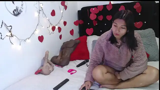 Snapshot of Sofynix chatting on February 15, 1:38 pm Sofynix online show from February 15, 1:38 pm