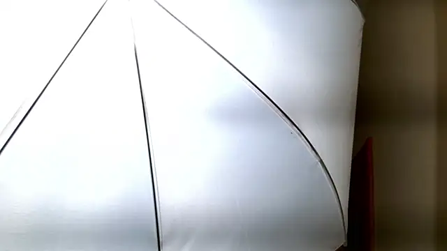 Ledy Mary online show from November 8, 4:51 pm