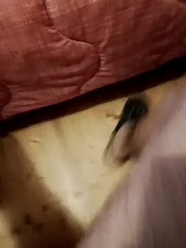 jon763 online show from September 22, 7:32 am