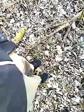 Snapshot of Boring_one chatting on February 3, 2:55 pm Boring one online show from February 3, 2:55 pm