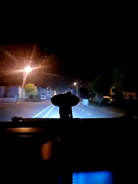 Snapshot of Darkboss31 chatting on October 30, 11:38 pm Darkboss31 online show from October 30, 11:38 pm