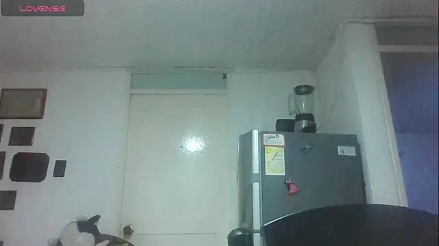 Snapshot of SexDiffrent chatting on November 21, 6:39 pm SexDiffrent online show from November 21, 6:39 pm