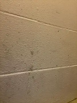 Snapshot of Greedy187nMs211 chatting on December 2, 7:47 am Greedy187nMs211 online show from December 2, 7:47 am