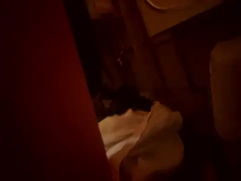 Dannadcz online show from March 24, 8:25 pm