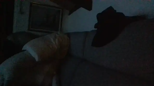 davigochi77bcn online show from February 20, 10:21 pm