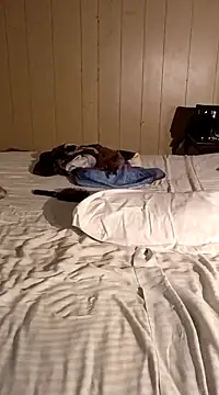 Jasmine FullsShine online show from March 8, 11:18 pm