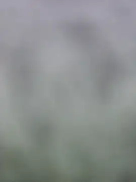 Snapshot of fuckineverett chatting on March 15, 3:48 pm fuckineverett online show from March 15, 3:48 pm