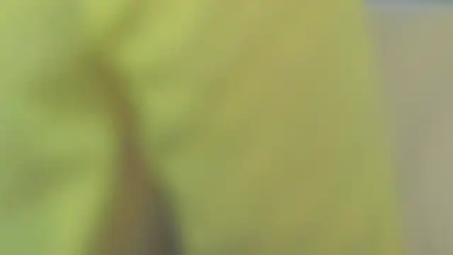 sinteas online show from June 9, 10:27 am