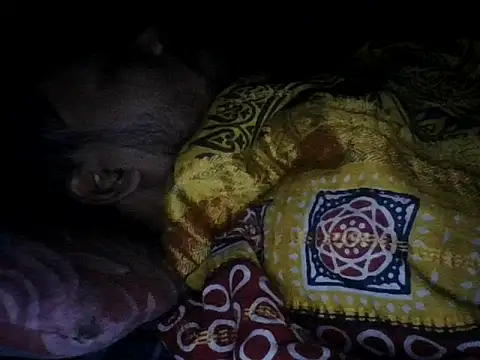 Snapshot of chittagong77 chatting on December 13, 9:53 pm chittagong77 online show from December 13, 9:53 pm