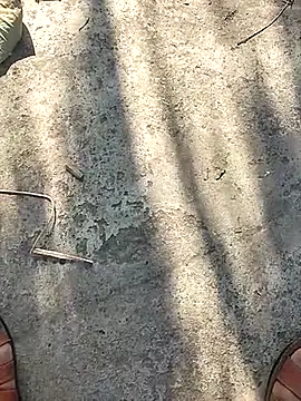 Snapshot of Pitercom chatting on November 12, 9:10 am Pitercom online show from November 12, 9:10 am