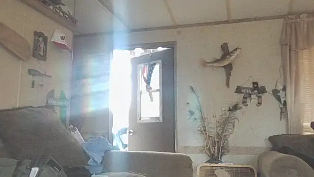 Snapshot of Yankeedave420 chatting on November 19, 6:08 pm Yankeedave420 online show from November 19, 6:08 pm