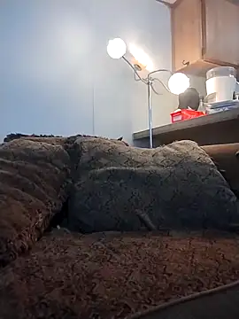 Yankeedave420 online show from March 16, 11:31 pm