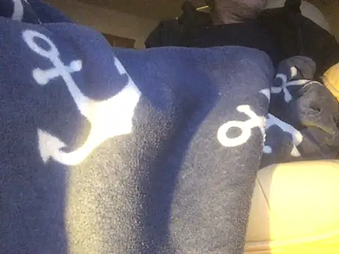 translove online show from February 14, 8:05 pm