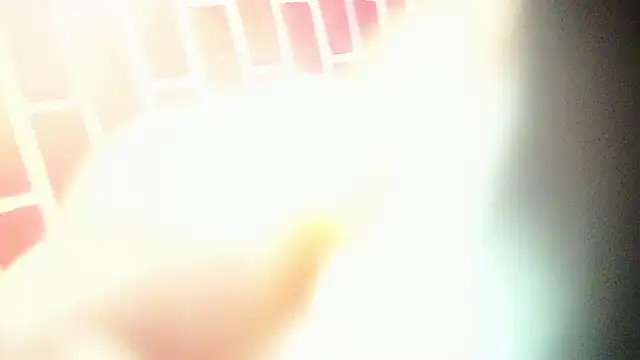 the master foal  online show from March 6, 4:19 am