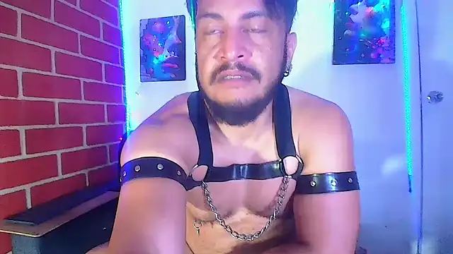 the master foal  online show from March 7, 4:57 am