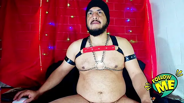 the master foal  online show from September 18, 11:12 am