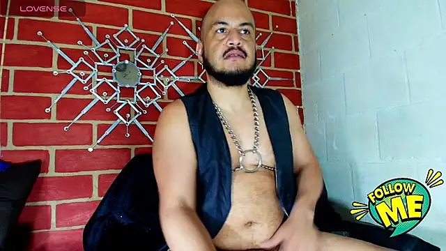 the master foal  online show from October 1, 2:34 pm