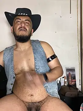 the master foal  online show from February 2, 12:53 am