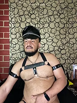 the master foal  online show from March 10, 8:14 pm