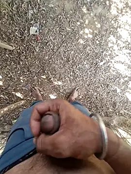 Snapshot of breejs chatting on November 23, 8:25 am breejs online show from November 23, 8:25 am